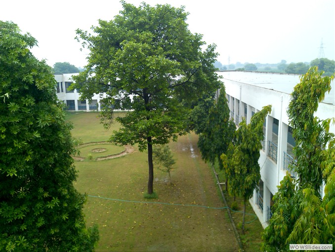 Green Vally